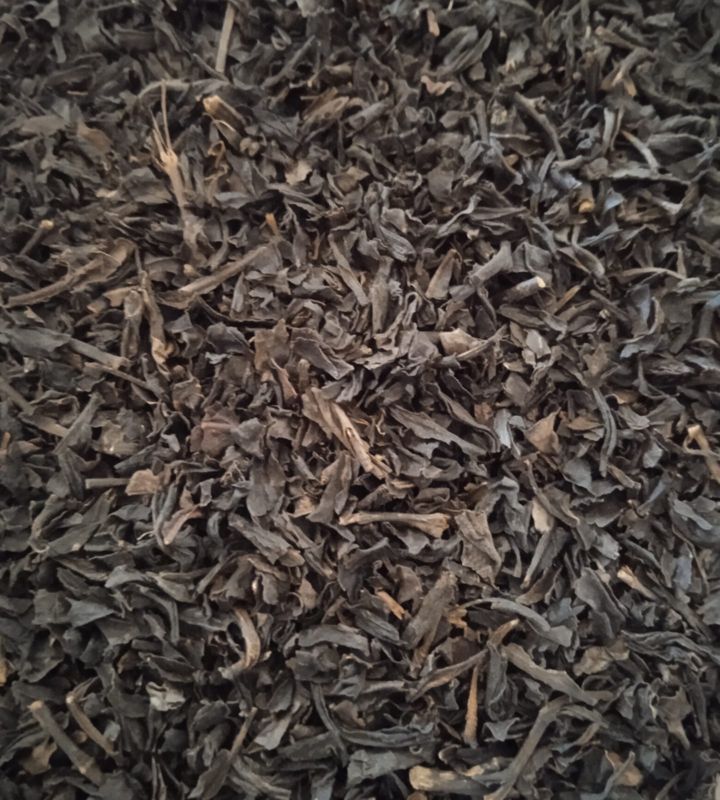 Black Tea - Ceylon BOP
